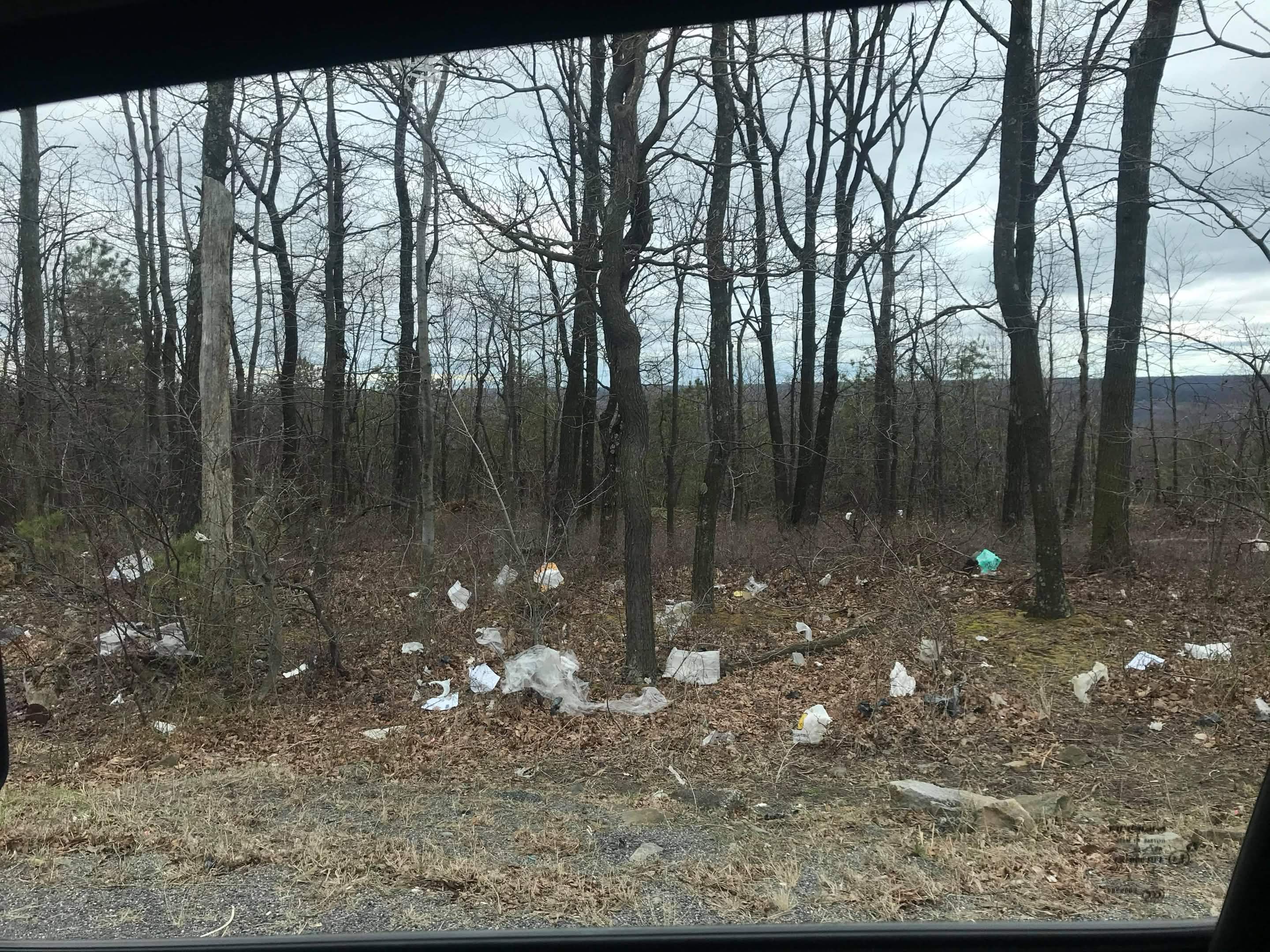 Plastic litter scattered across leaf-covered forest floor along a roadside, photographed from a passing car.